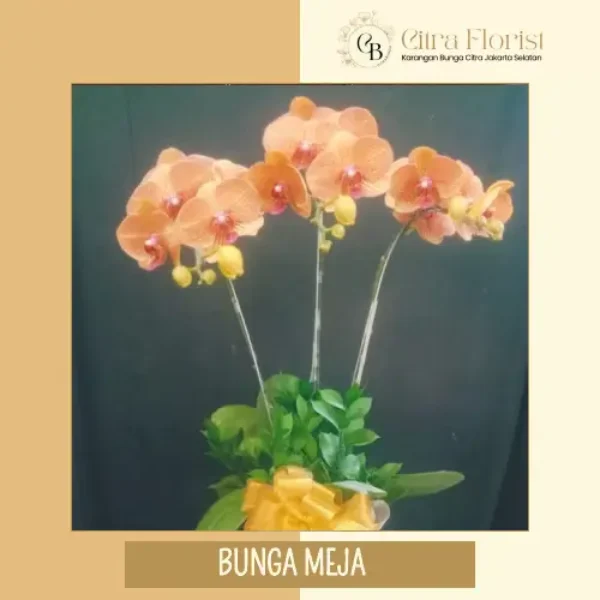 Bunga Meja