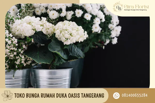 toko bunga rumah duka oasis tangerang